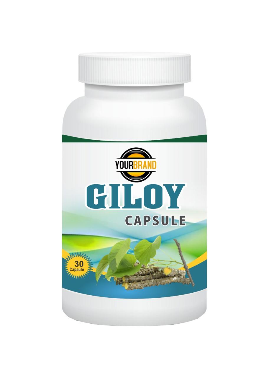 GILOY   CAP